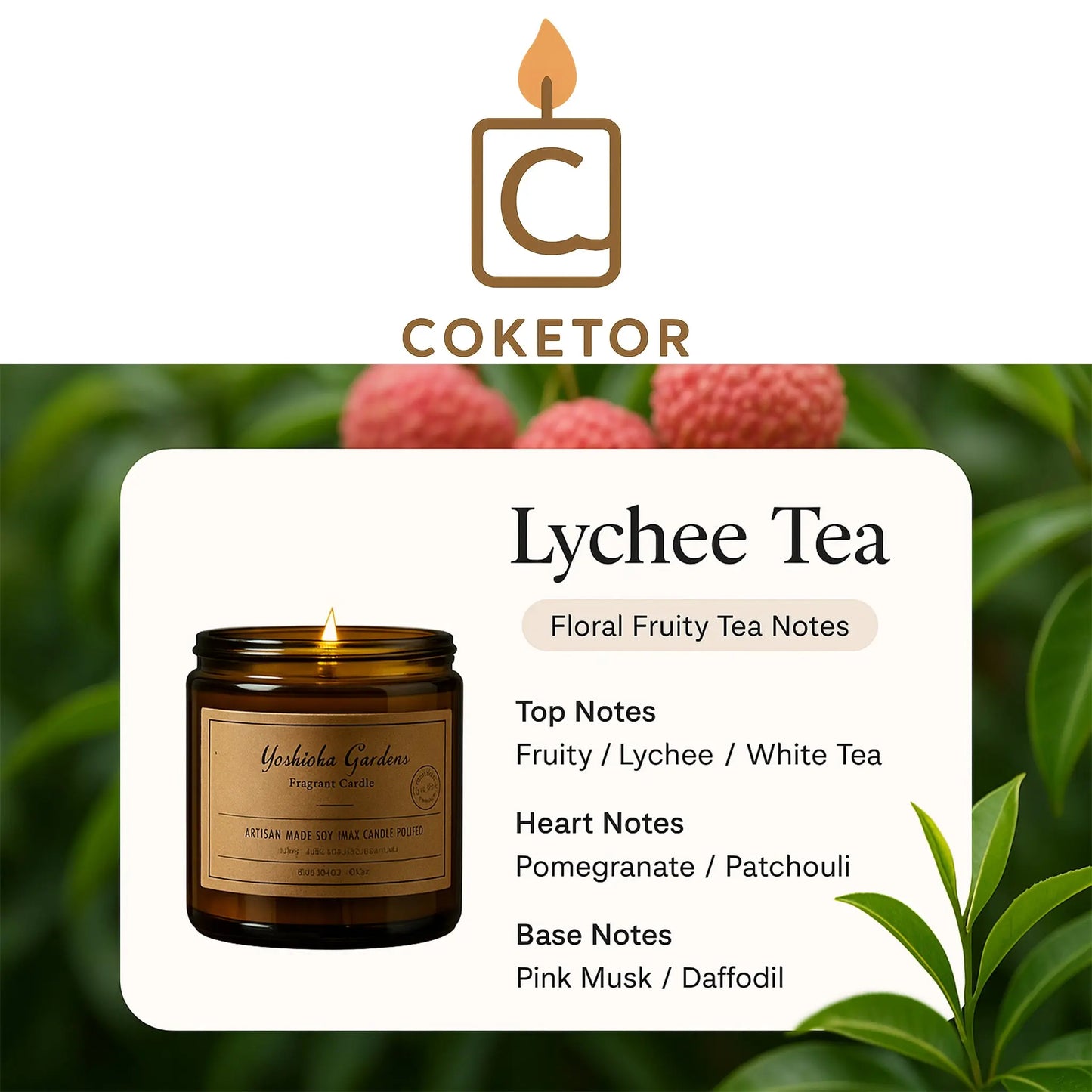 Coketor Premium Aromatherapy Candles - 13 Signature Scents Natural Soy Wax Candle Collection 100g/200g Coketor