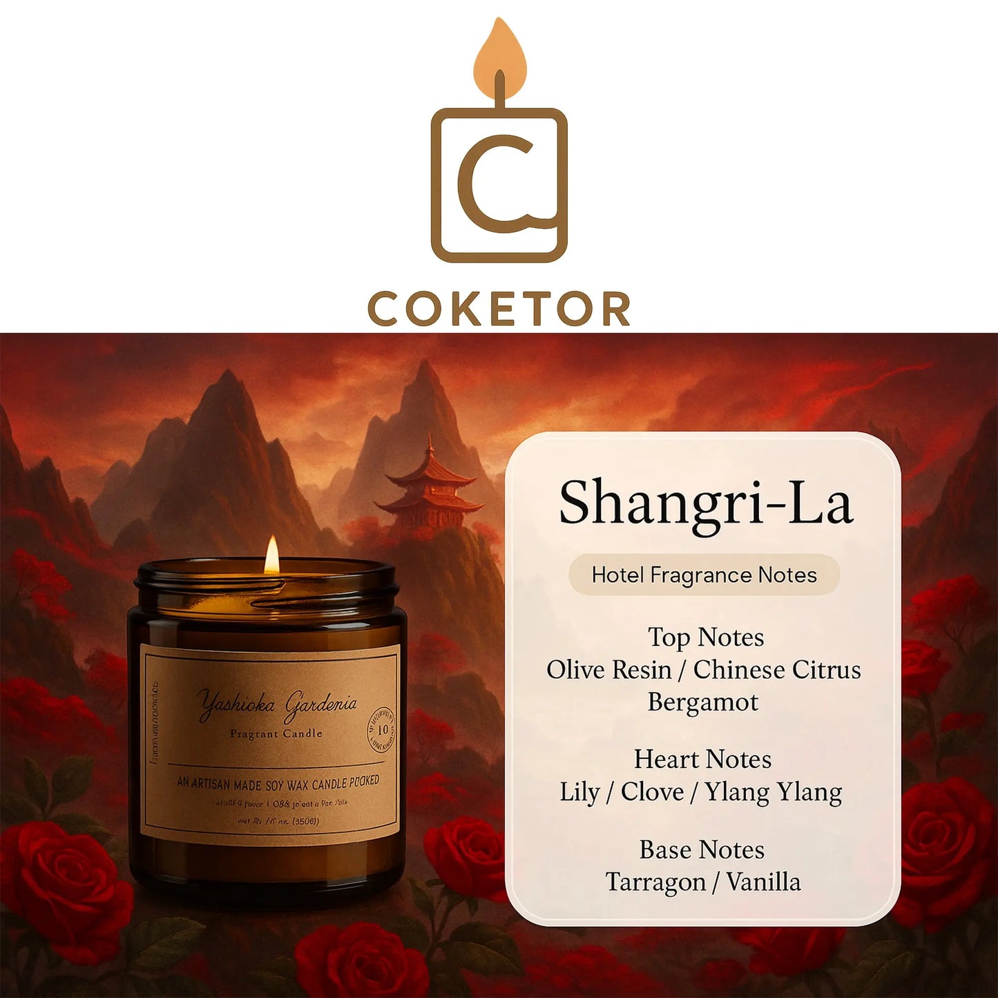 Coketor Premium Aromatherapy Candles - 13 Signature Scents Natural Soy Wax Candle Collection 100g/200g Coketor
