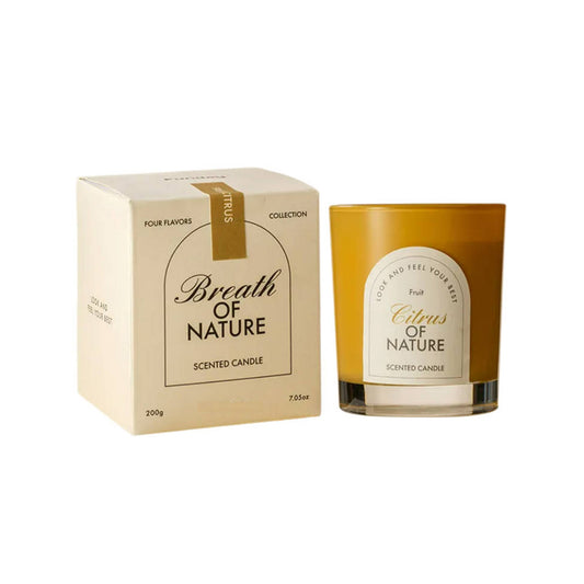 Citrus of Nature Scented Candle - Fresh Fruity Fragrance COKETOR