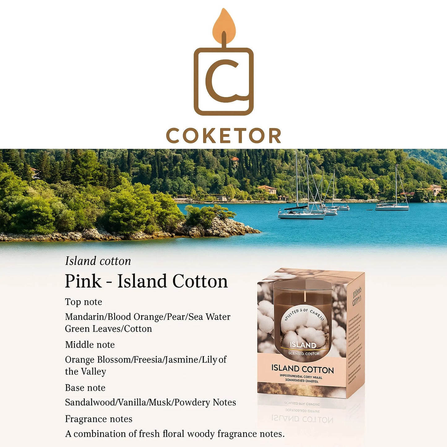 Premium Aromatherapy Candle Collection - 6 Signature Scents Coketor