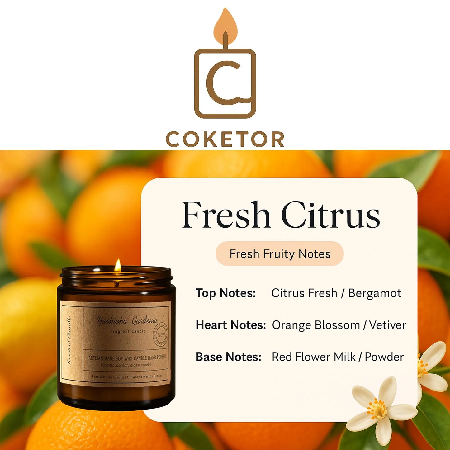 Coketor Premium Aromatherapy Candles - 13 Signature Scents Natural Soy Wax Candle Collection 100g/200g Coketor