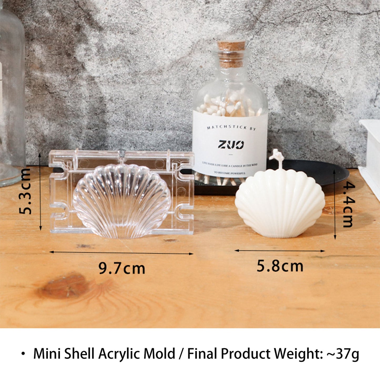 Small Shell Acrylic Candle Mold ZUO