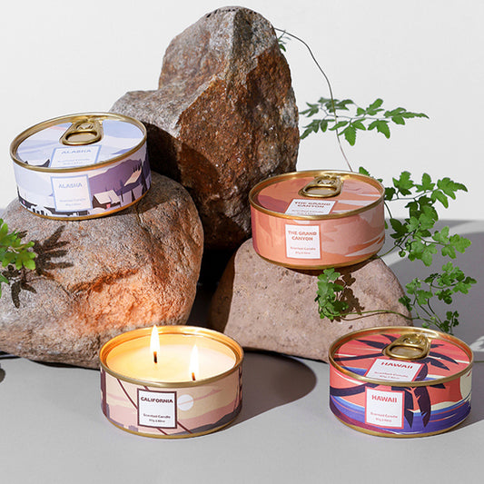 Premium Scented Candle Collection - 4 Pack Set with 4 Different Fragrances Coketor