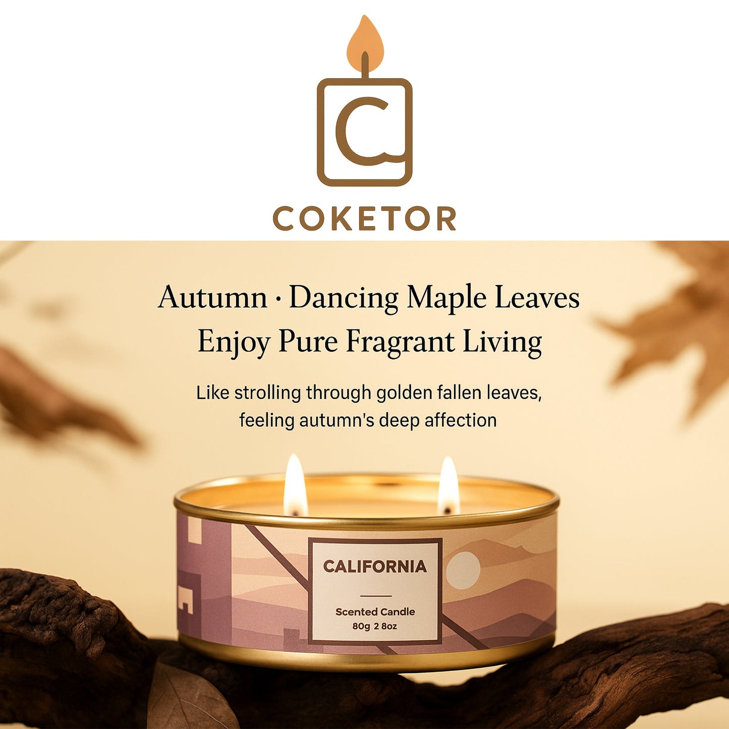 Premium Scented Candle Collection - 4 Pack Set with 4 Different Fragrances Coketor