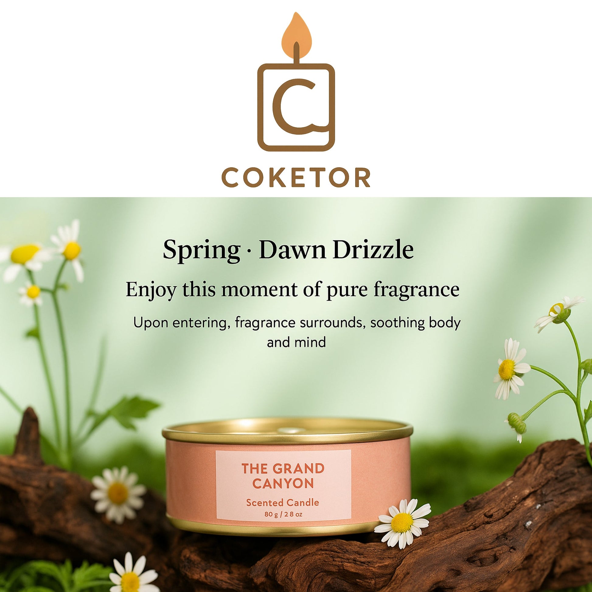 Premium Scented Candle Collection - 4 Pack Set with 4 Different Fragrances Coketor