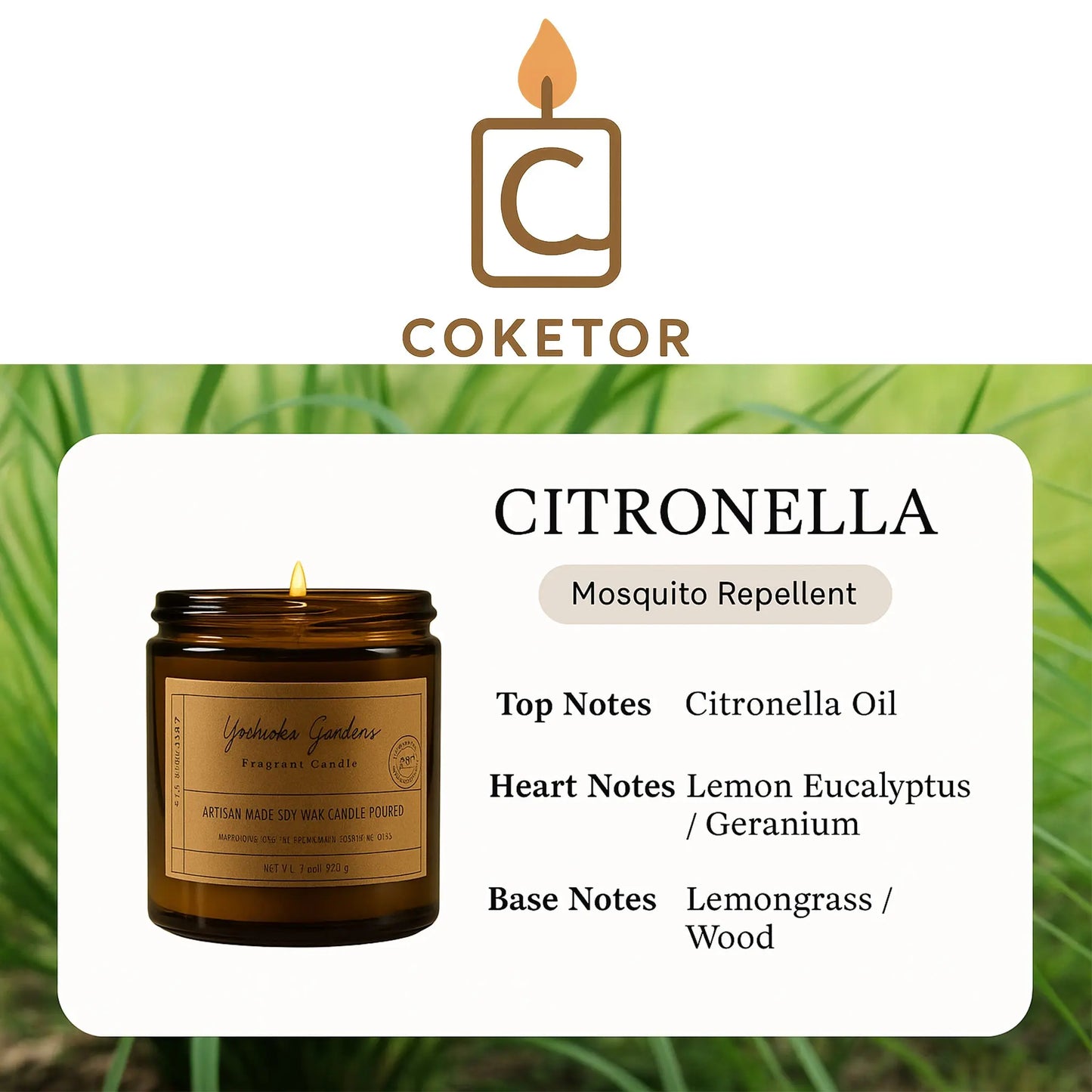Coketor Premium Aromatherapy Candles - 13 Signature Scents Natural Soy Wax Candle Collection 100g/200g Coketor